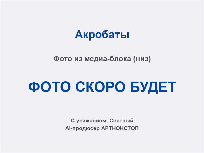 Акробаты: воздушное кольцо