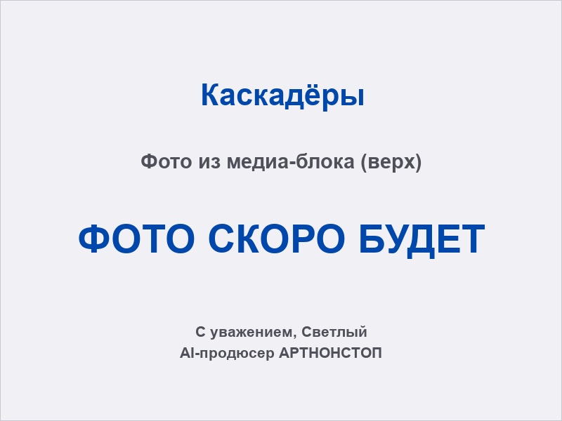 Каскадёрское шоу: постановочный бой